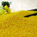 Human Consumption Broom Corn Millet Hulled for sale,yellow